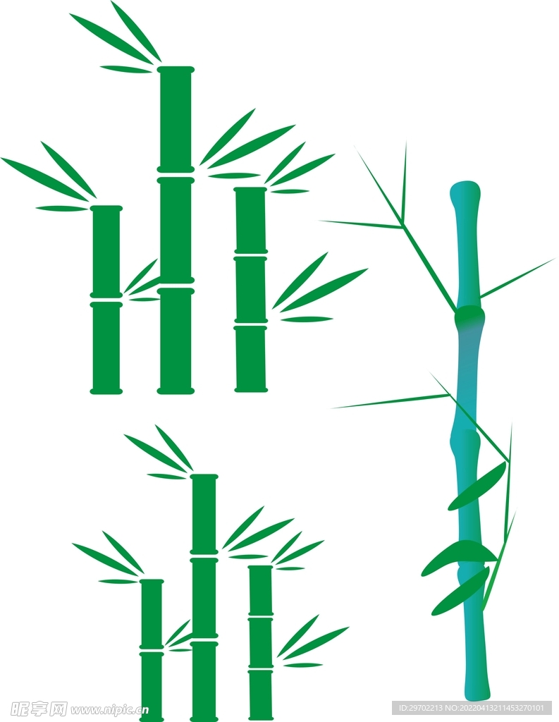 竹子 手绘 绿色