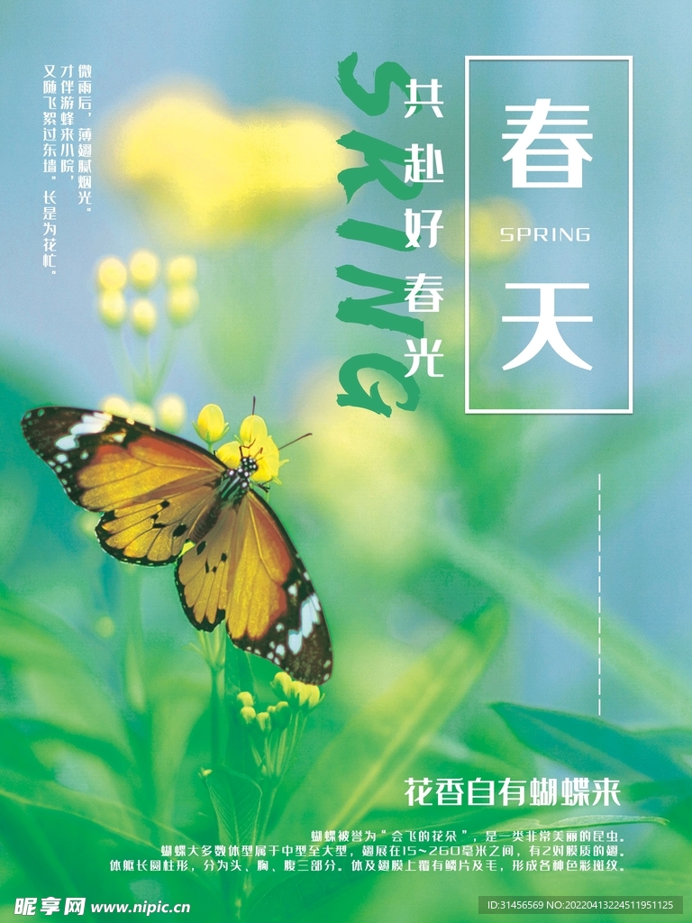 春天