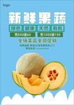 哈密瓜海报