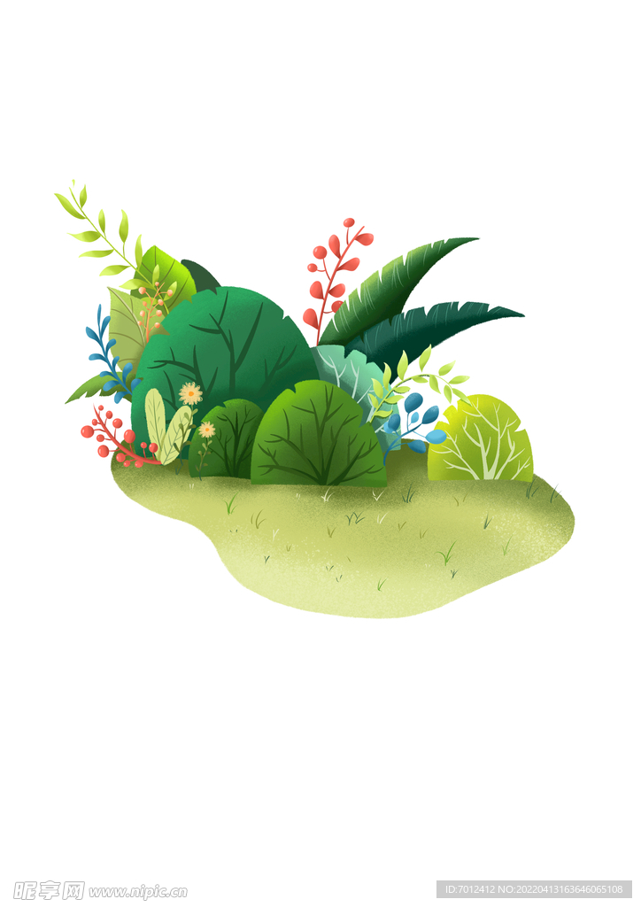 植物