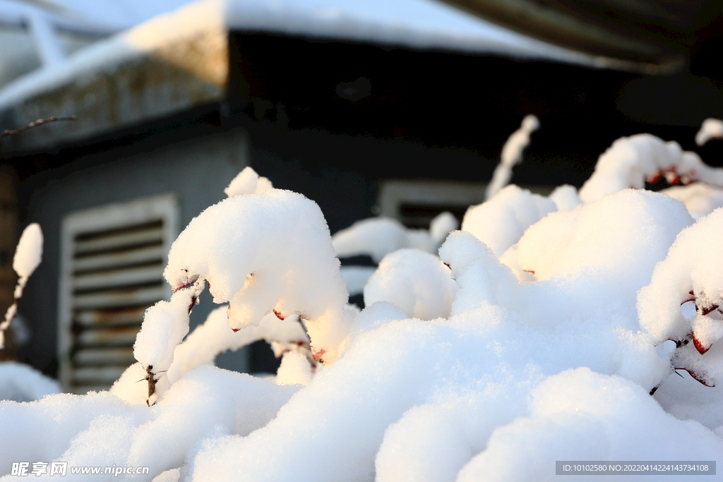 雪景3