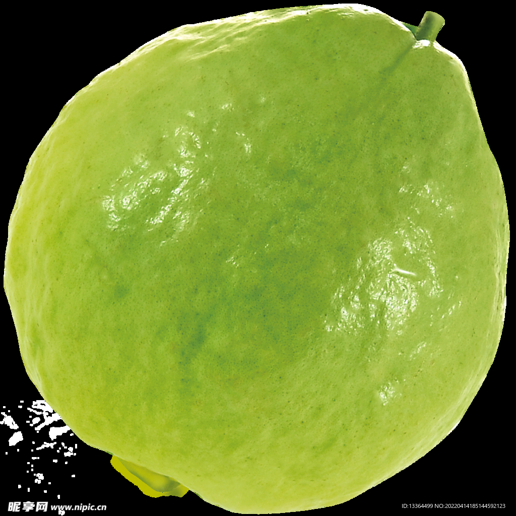 番石榴