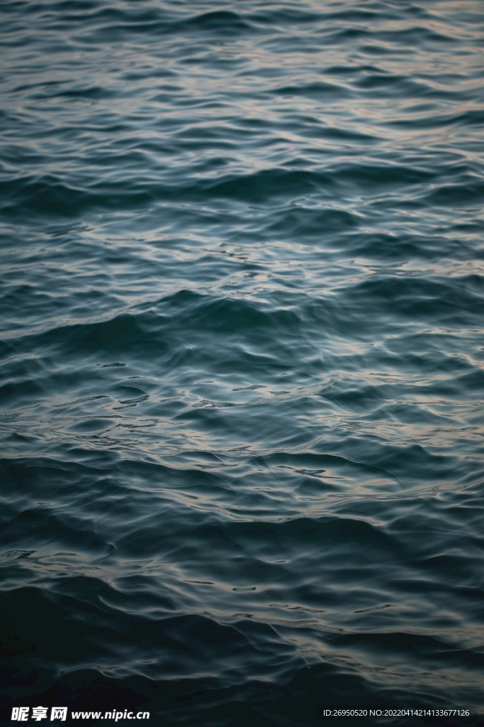 海