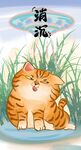 萌主猫            
