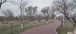 公园图片