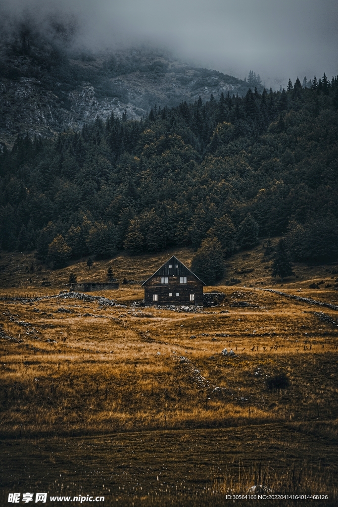 户外暗调草原自然景观