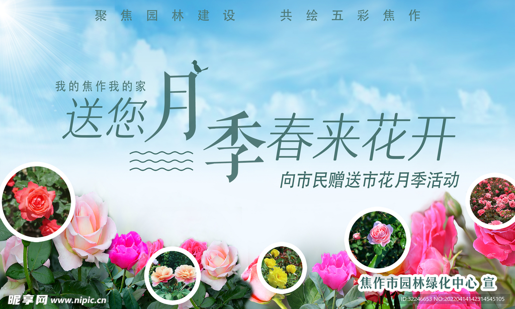 送您月季 春来花开 送花活动