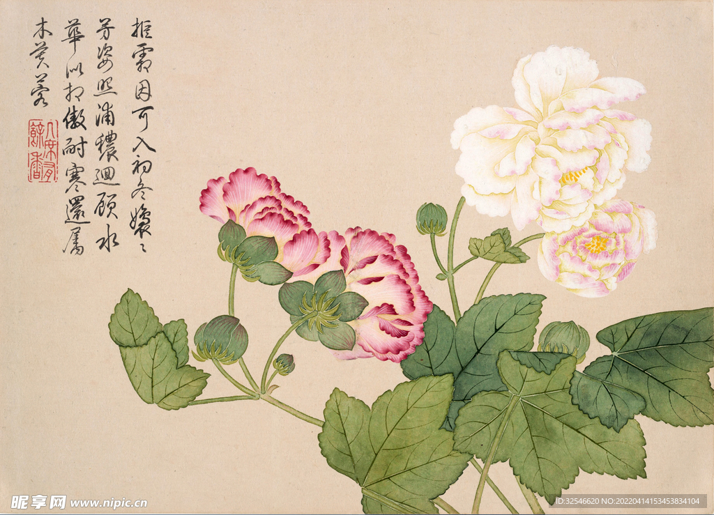 钱维城芙蓉傲寒花卉图册国画