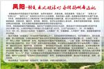凤阳简介变化