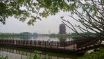 风景图