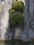 山