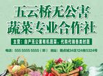 蔬菜广告