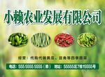 蔬菜广告