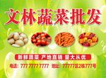 蔬菜广告