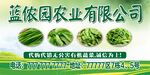 蔬菜广告