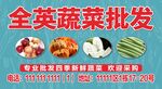 蔬菜批发广告