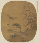 花鸟画  