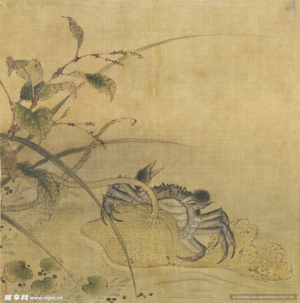 花鸟画  