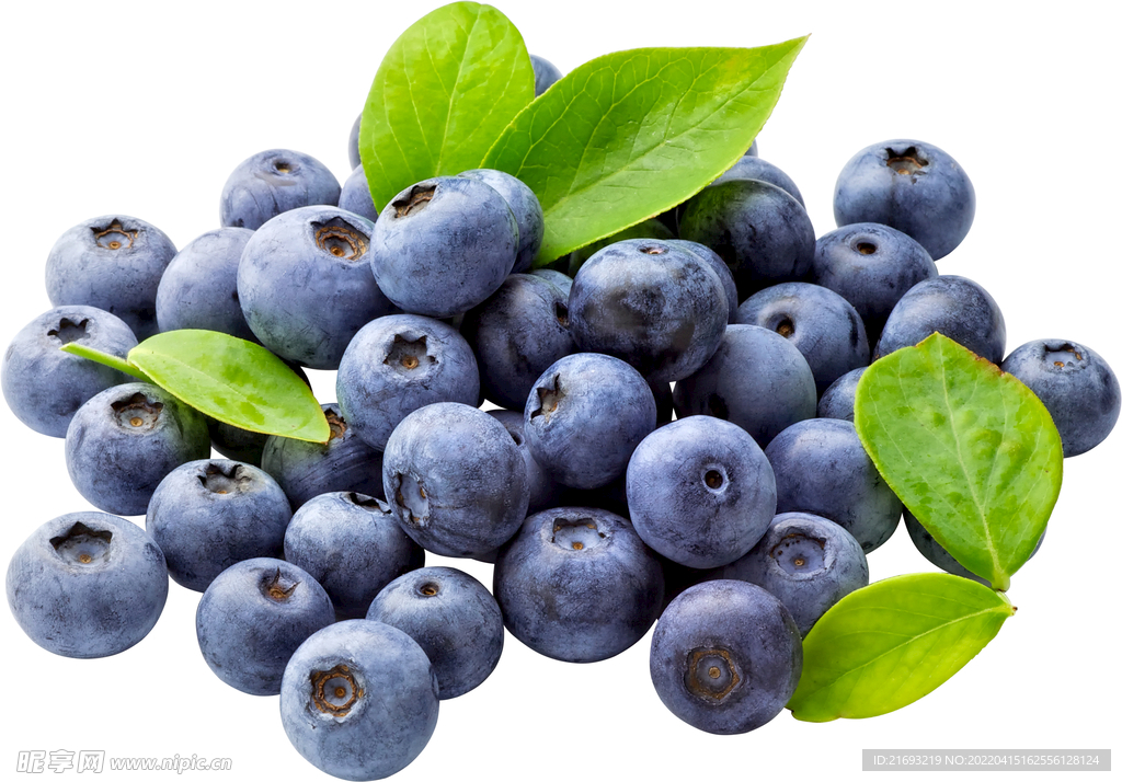  美味蓝莓