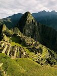 山