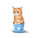 茶杯猫            