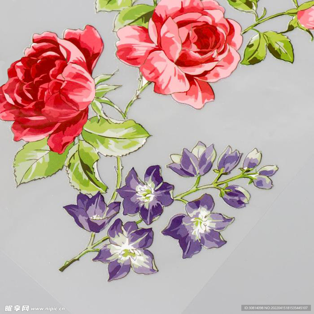 紫红花朵