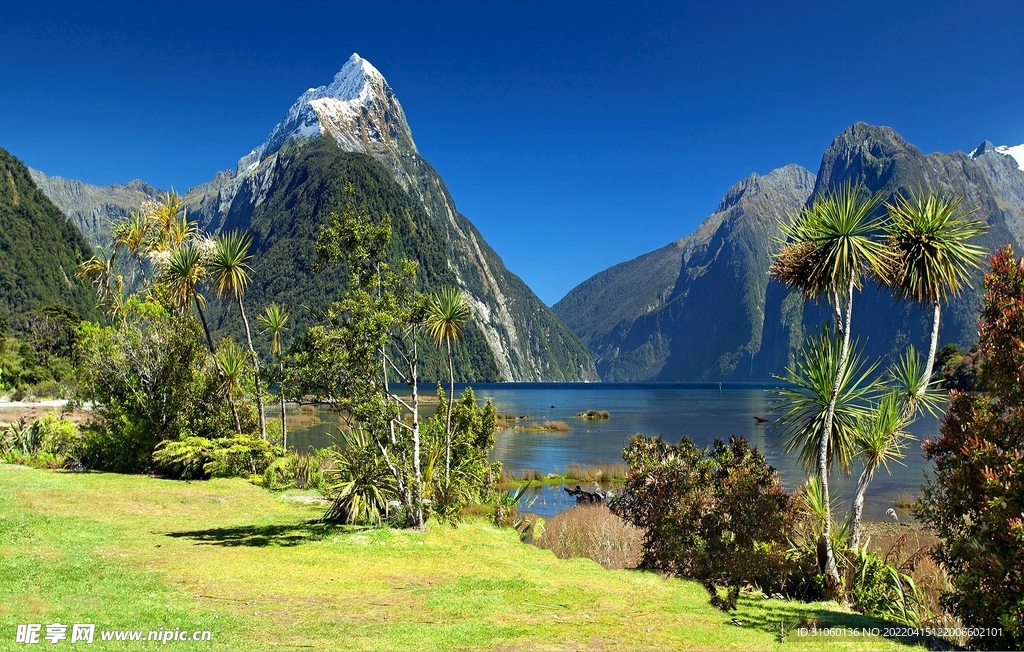 风景