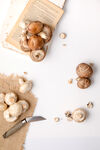 蘑菇食材菌菇海报背景图