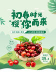 车厘子 
