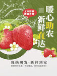 草莓海报  
