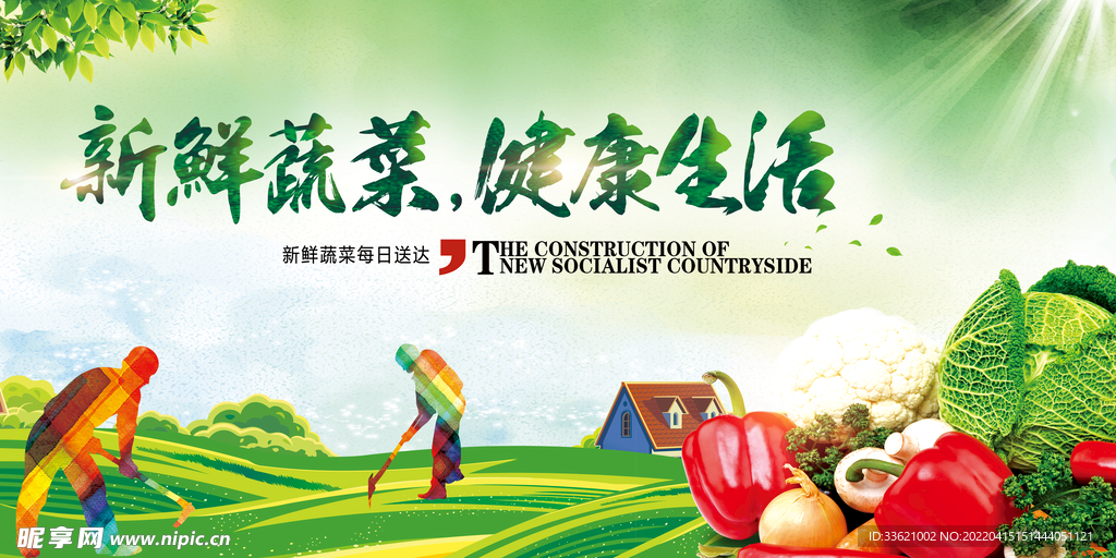 蔬菜海报 
