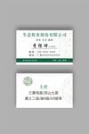 绿色名片