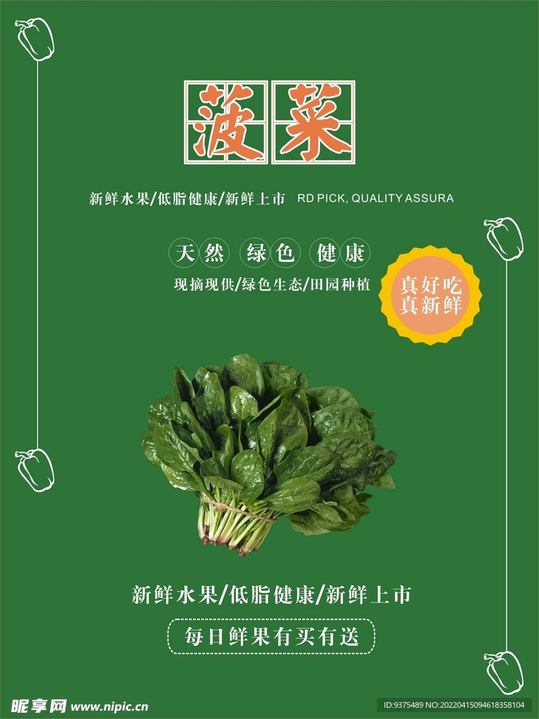 菠菜海报