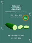 黄瓜海报