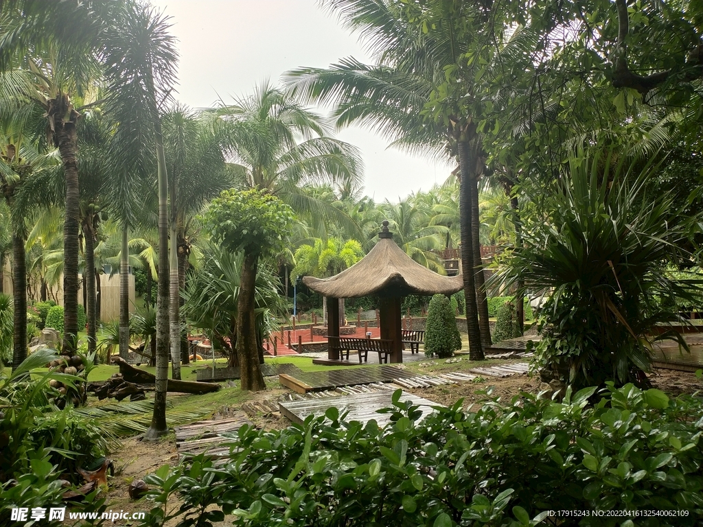 自然风景 