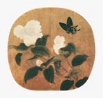 花鸟画 