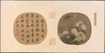 花鸟画  
