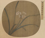  花鸟画 