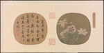 夏卉骈芳图