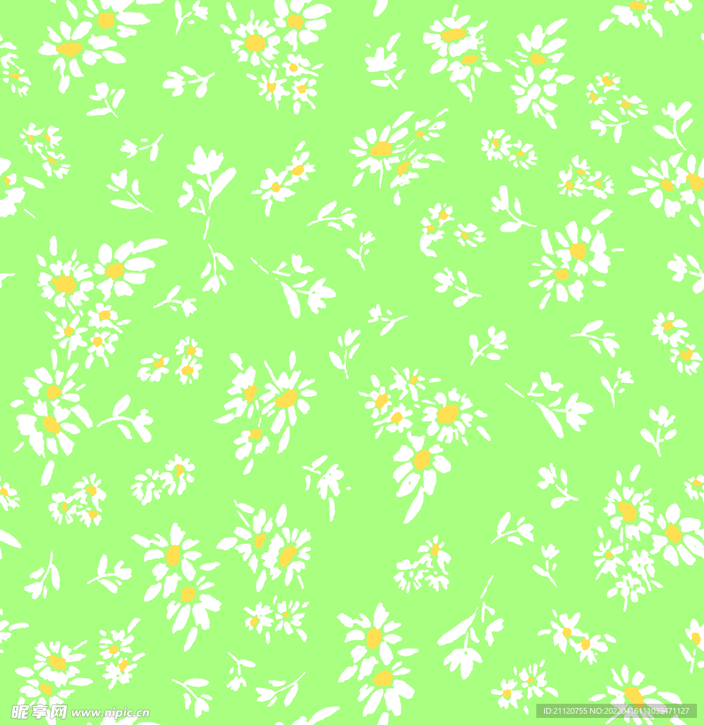 雏菊
