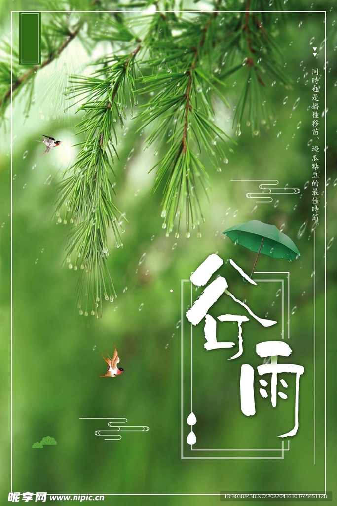 谷雨海报PSD素材
