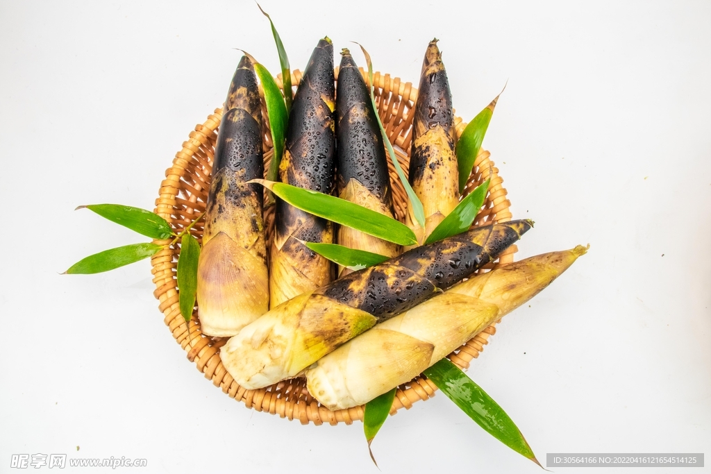 新鲜竹笋食材