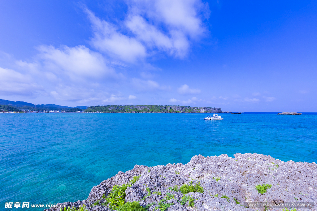 大海