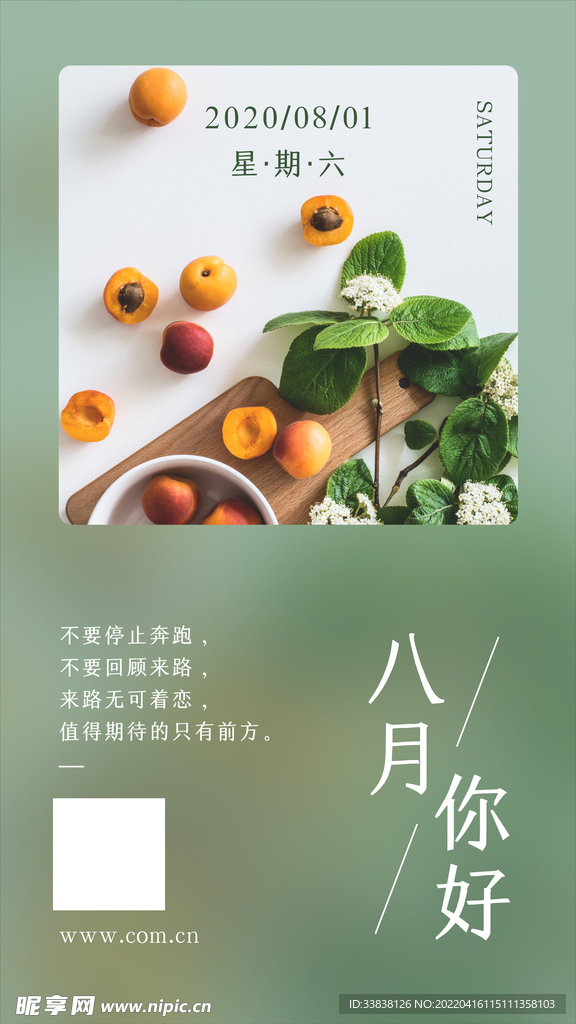 绿色图文八月签日签夏季