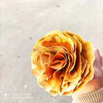 银杏花