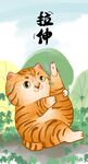 萌主猫            