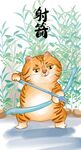 萌主猫            