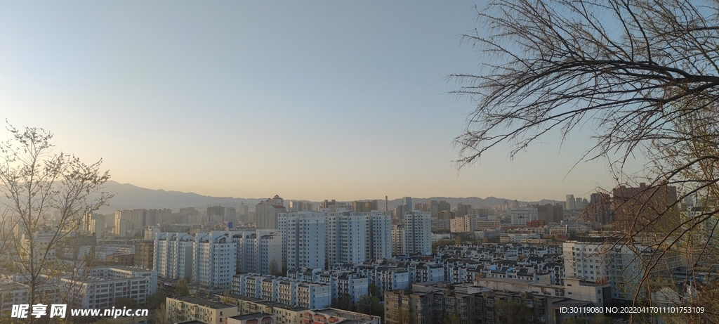 晨光