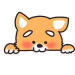 狗 