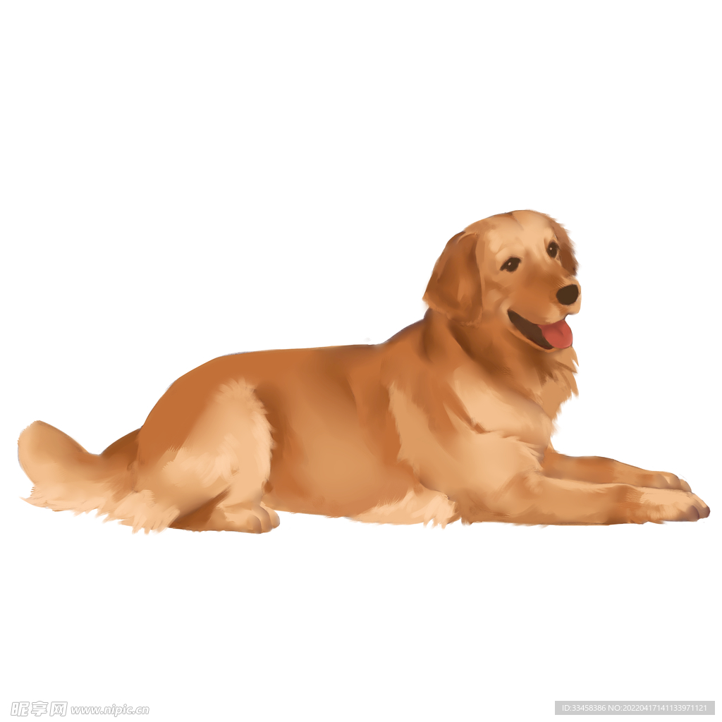 狗 